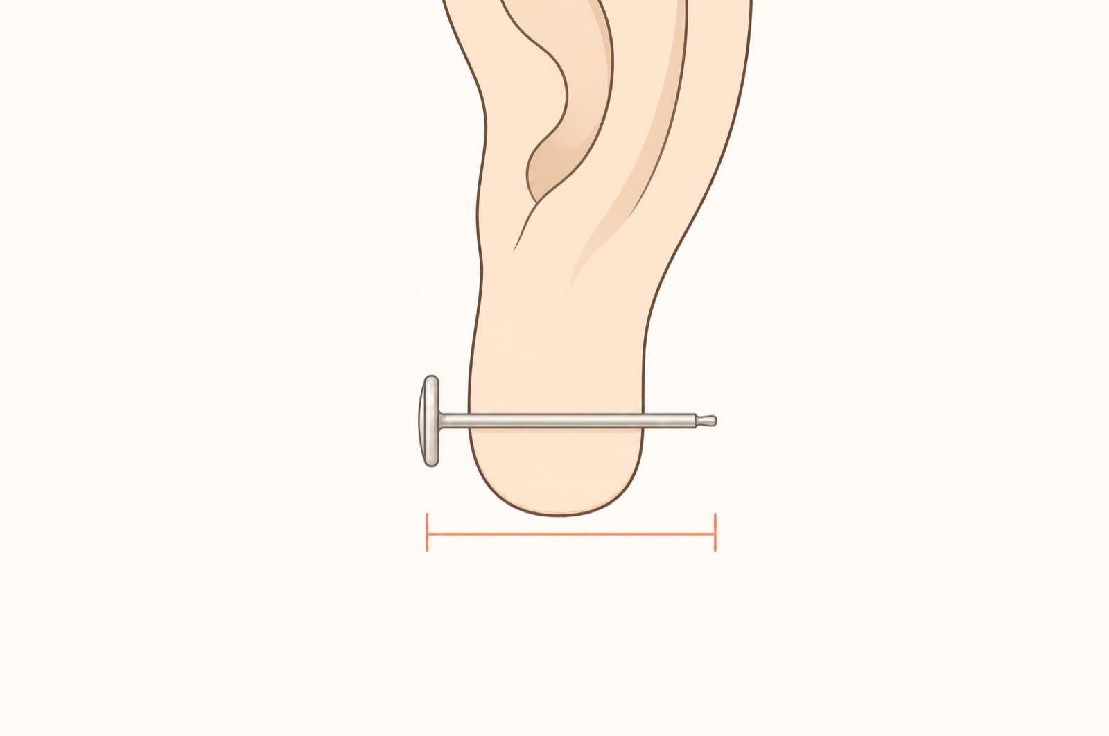 Diagram showing an earring post passing through the cross-section of an earlobe